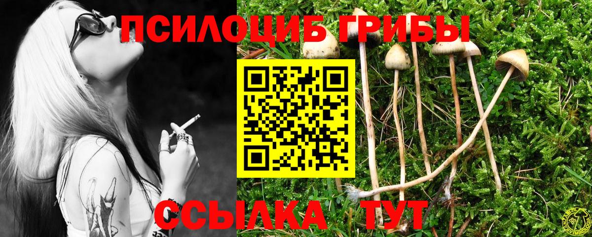 купить наркоту  Псилоцибиновые грибы Cubensis  Вход с VPN  Соликамск  Галлюциногенные грибы мицелий 